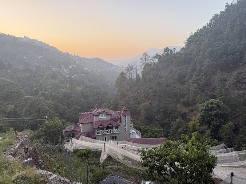 Eco Village Retreat Ramgarh - Eco Village Retreat Ramgarh, CHF7+RC, Chay Bagicha, Uttarakhand 263137, India
