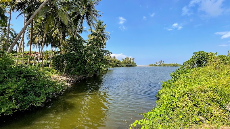 Kosgoda - Kosgoda, Sri Lanka