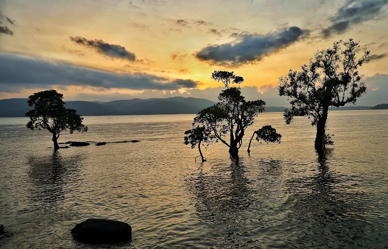 Chidiyatapu Sunset Point - Chidiyatapu Sunset Point GP22+HQ7, Calicut, Sri Vijaya Puram, Andaman and Nicobar Islands 744105, India