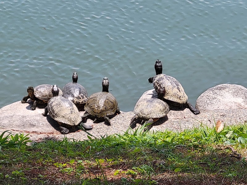 Ohori Park - Ohori Park Japan, 〒810-0051 Fukuoka, Chuo Ward, Ōhorikōen, 1 公園管理事務所
