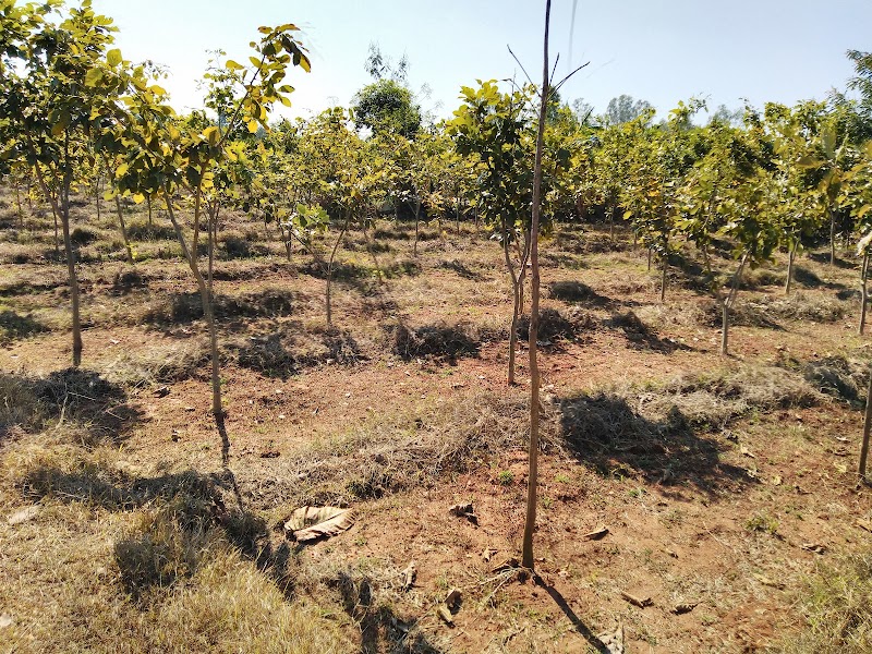 Aanand Ban Umerkote - Aanand Ban Umerkote, M644+RX4, Nowrangpur, Odisha 764073, India