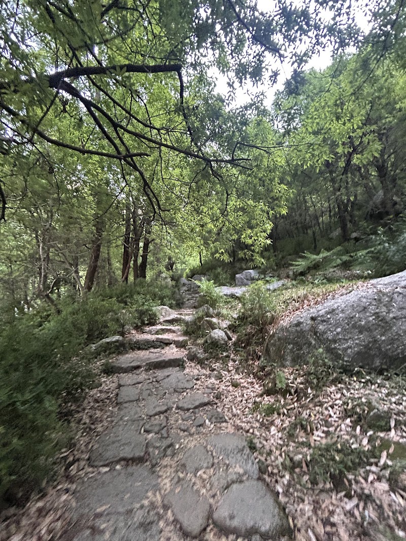 Kareri Lake Trek - Kareri Lake Trek, Kareri, Himachal Pradesh 176216, India