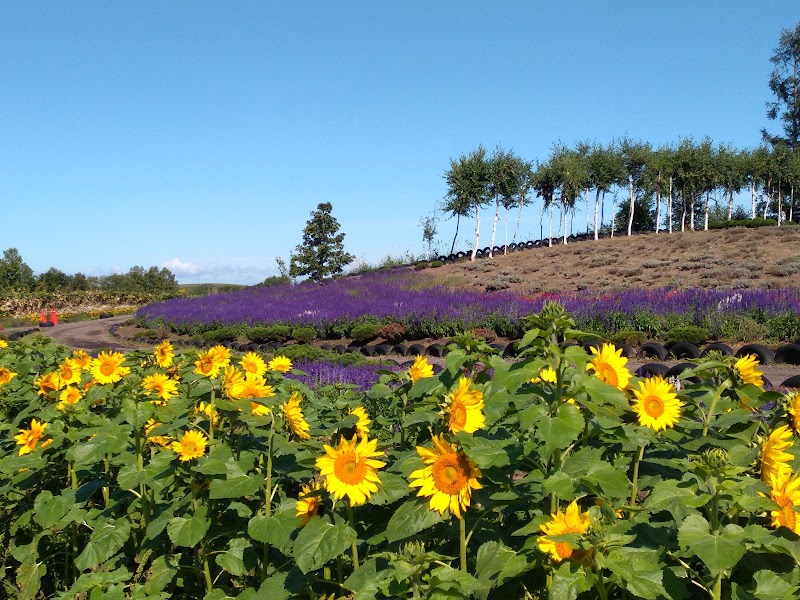 Zerubu Hill - Zerubu Hill Japan, 〒071-0200 北海道上川郡美瑛町大三