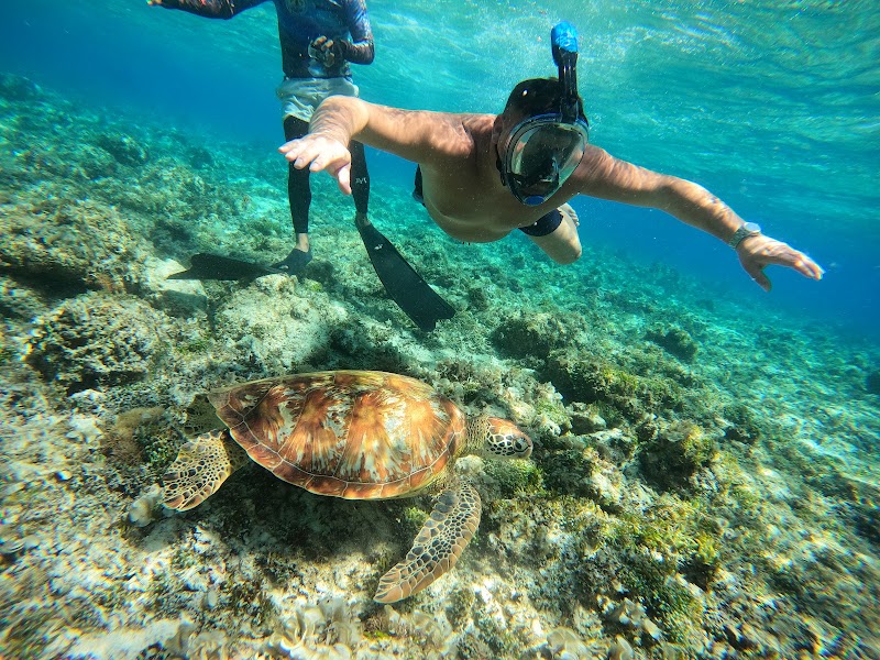 Balicasag Marine Sanctuary - Balicasag Marine Sanctuary GM8J+4QG, Panglao, Bohol, Philippines
