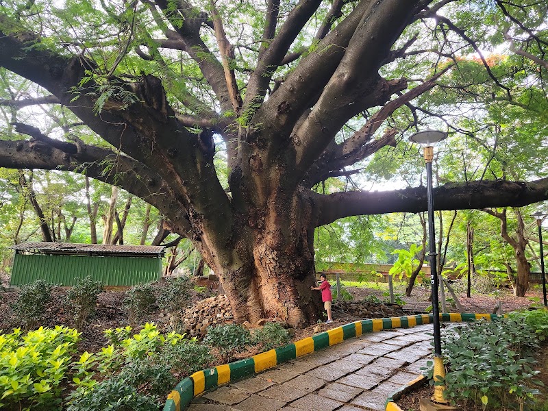 M.N. Krishna Rao Park - M.N. Krishna Rao Park Dewan Madhava Rao Rd, Basavanagudi, Bengaluru, Karnataka 560004, India