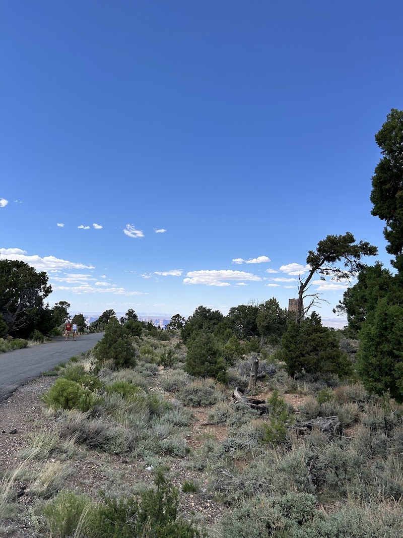 Desert View Point - Desert View Point, Arizona 86023, USA