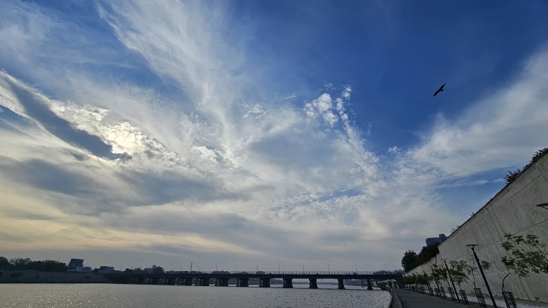 Sabarmati Riverfront Walkway - Sabarmati Riverfront Walkway, 2HQC+GRW, Sabarmati Riverfront Walkway W, Shreyas Colony, Navrangpura, Ahmedabad, Gujarat 380009, India