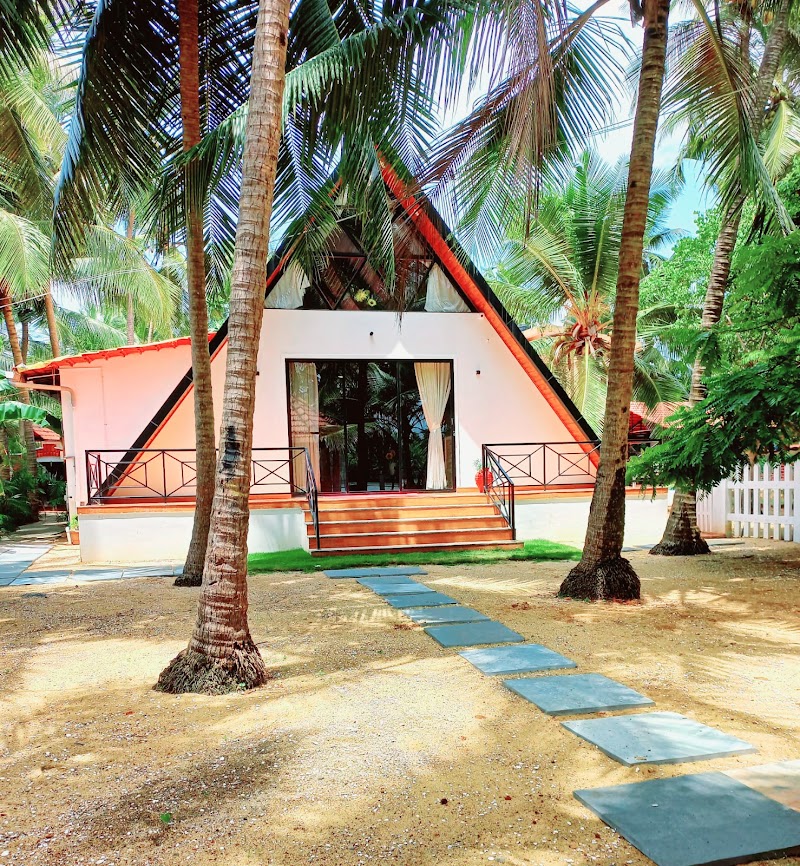 Tropical Cradle