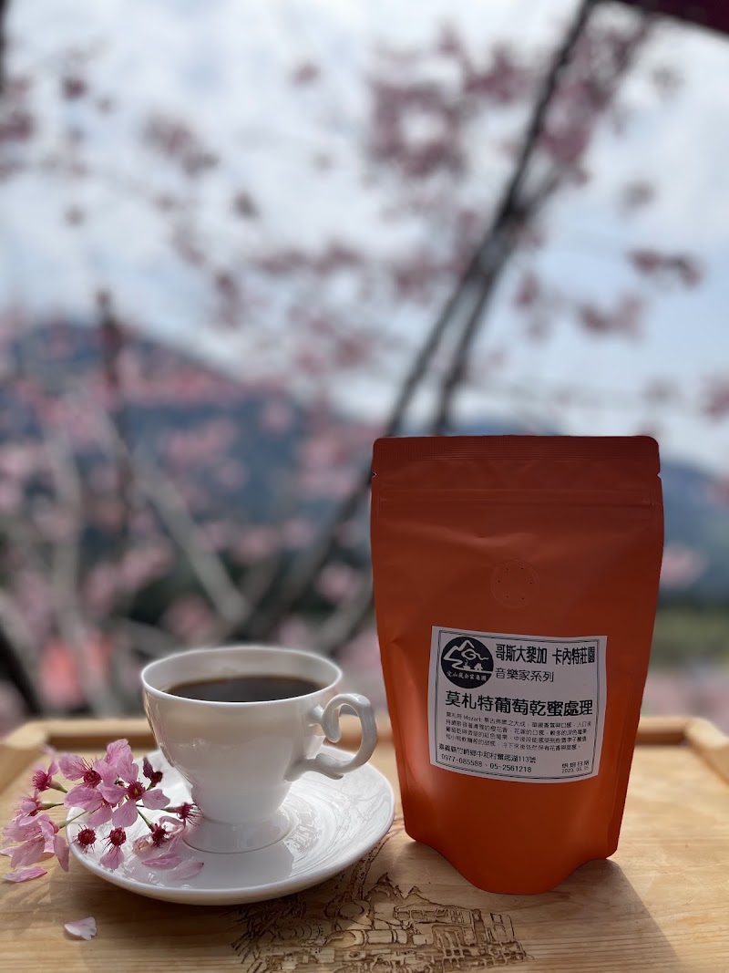 奮起湖山嵐小築 - 奮起湖山嵐小築 604, Taiwan, Chiayi County, Zhuqi Township, Zhonghe Village, 113號
