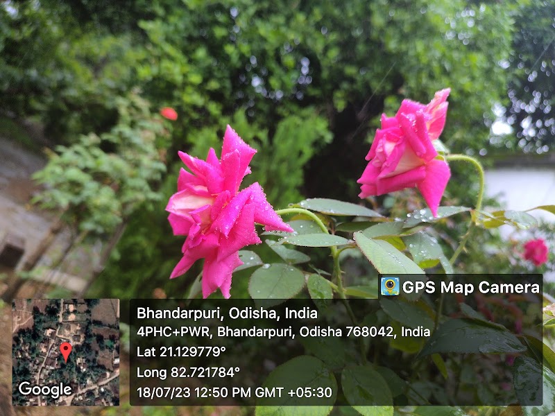 Go Green Garden - Go Green Garden, 4PHC+VQM, Bhandarpuri, Odisha 768042, India