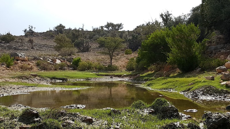 Saiq - Saiq, Oman