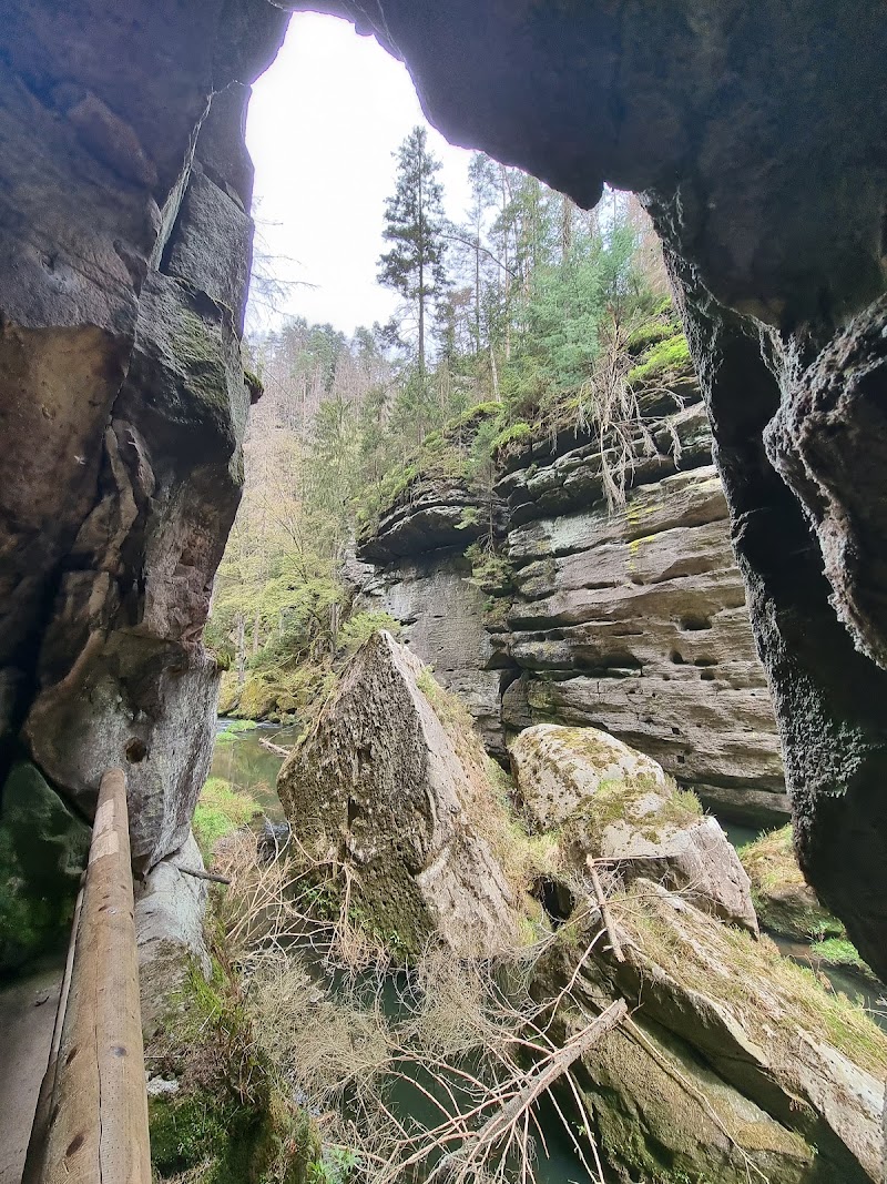 Kamenice Gorge - Kamenice Gorge, 405 02 Hřensko-Děčín 2, Czechia