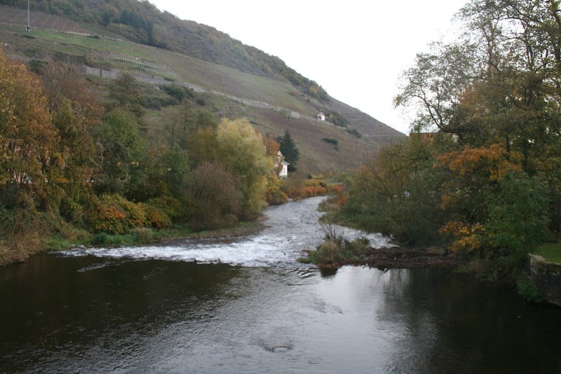 Source of the Moselle - Source of the Moselle, Rte des Sources, 88540 Bussang, France