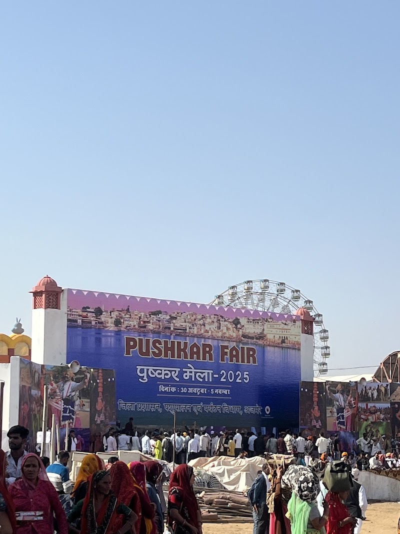 Pushkar Cattle Fair - Pushkar Cattle Fair, Mela Ground, Pushkar, Rajasthan 305022, India