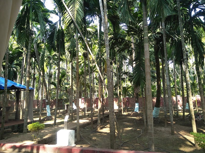 Cocohut Resort - Cocohut Resort 5X8Q+GFF, Samarth Nagar, Diveagar, Maharashtra 402404, India