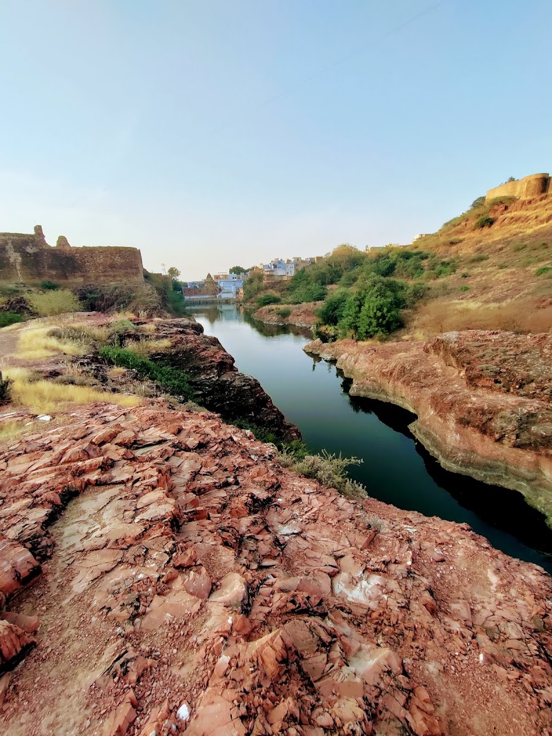 Bluecity Walks - Bluecity Walks, Walk starting point Visiters Center Rao Jodha Desert Rock Park, Fateh Pol Rd, near Mehrangarh fort lower parking, Jodhpur, Rajasthan 342024, India