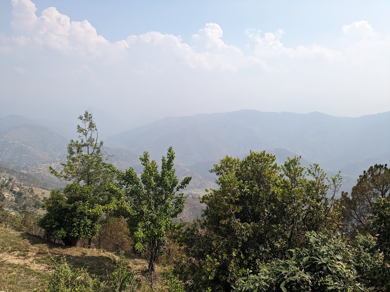 The Village - Homestay - The Village - Homestay, JF28+H9G, Garhi, Uttarakhand 263651, India