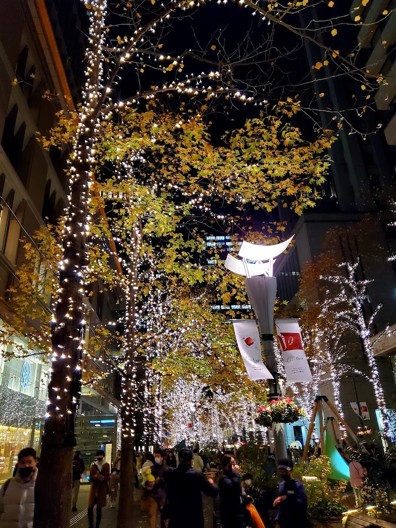 Marunouchi - Marunouchi Marunouchi, Chiyoda City, Tokyo 100-0005, Japan