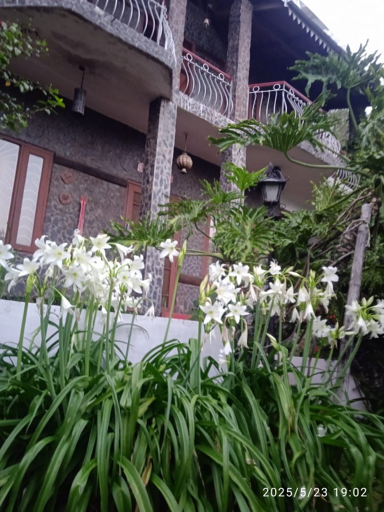 The Pine Trees Place - The Pine Trees Place, Aastha Cottages, 9GGJ+X63, next to Pindari Cottage, Farsoli, Nagri Gaon, Uttarakhand 263132, India