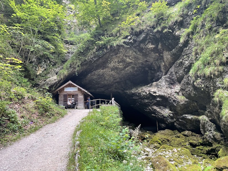 Koppenbrüller Cave - Koppenbrüller Cave, Winkl 34, 4831 Obertraun, Austria