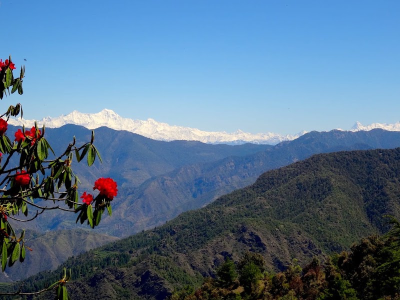 Jabarkhet Nature Reserve, Mussorie - Jabarkhet Nature Reserve, Mussorie Nature Reserve, Jabarkhet, Landour, Mussoorie, Uttarakhand 248179, India