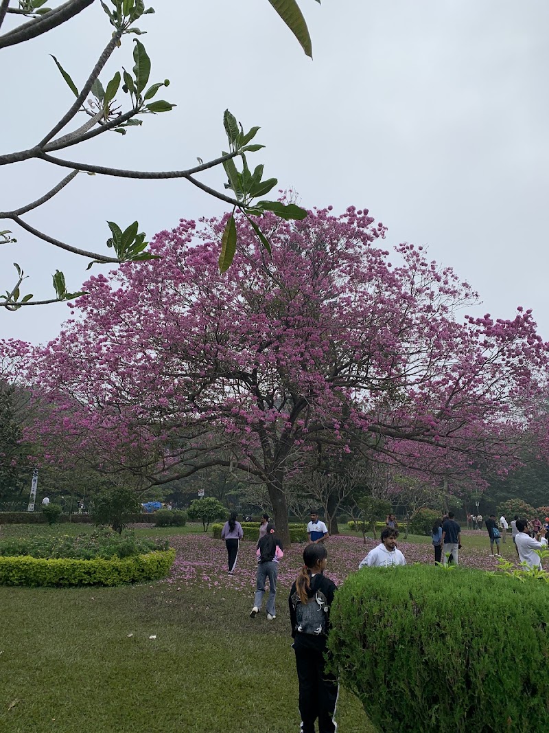 Ring wood circle cubbon park