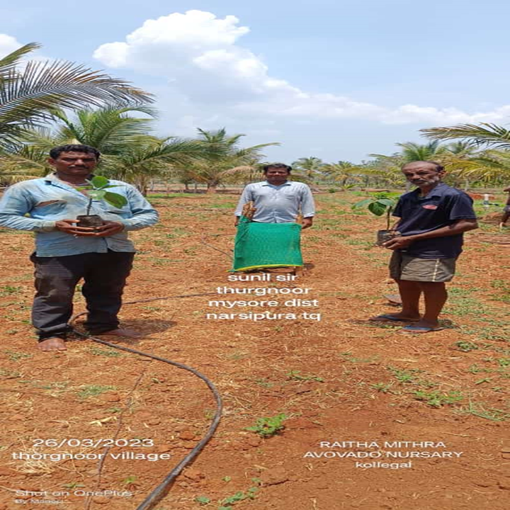 Roy Planters - Roy Planters, Kunthur, mole, uppara street, Kollegala, Kunthur, Karnataka 571442, India
