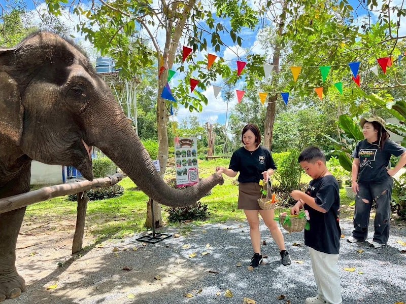 Phuket Elephant care Sanctuary - Phuket Elephant care Sanctuary 3 หาดในทอน 5, Tambon Sa Khu, Amphoe Thalang, Chang Wat Phuket 83110, Thailand