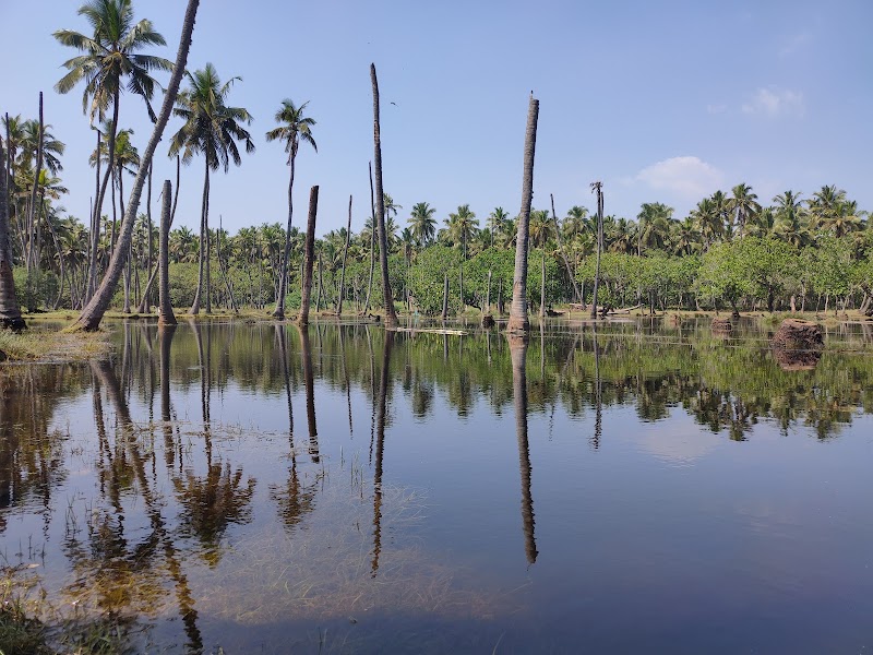 Lemur Beach - Lemur Beach, Ganapathipuram, Nagercoil, Neendakara -B, Tamil Nadu 629502, India