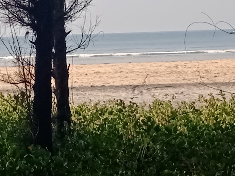 Kajirbhati Beach (Nevare-Ratnagiri) - Kajirbhati Beach (Nevare-Ratnagiri) 477H+68P, Neware, Maharashtra 415620, India