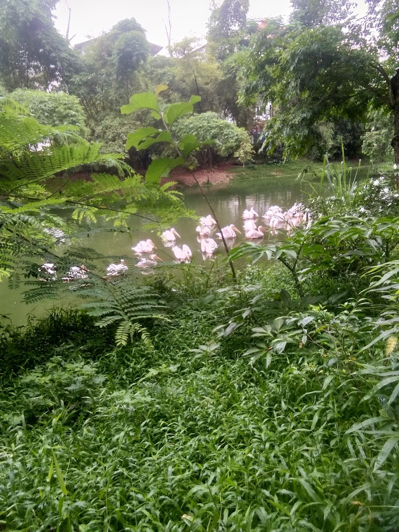 Tezu - Tezu, Arunachal Pradesh 792001, India