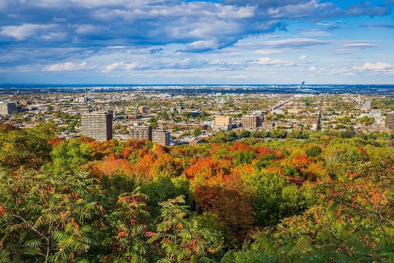 Mount Royal Park - Mount Royal Park, 1260 Chem. Remembrance, Montréal, QC H3H 1A2, Canada