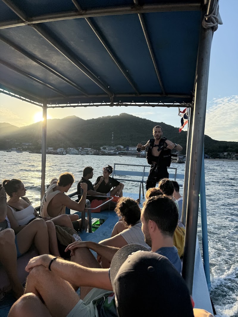 Pura Vida Diving - Pura Vida Diving, 9/24, ตำบล เกาะเต่า Koh Tao, สุราษฎร์ธานี 84360, Thailand