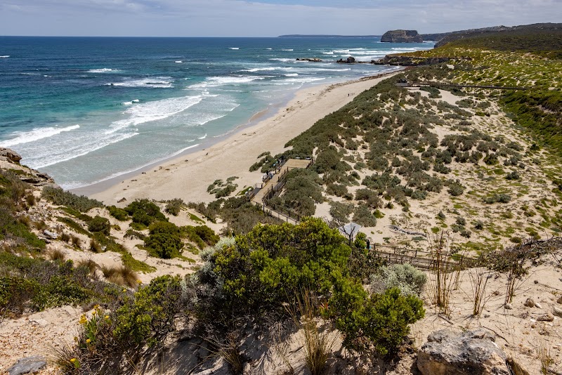 Seal Bay Conservation Park - Seal Bay Conservation Park, Seal Bay Rd, Seal Bay SA 5221, Australia