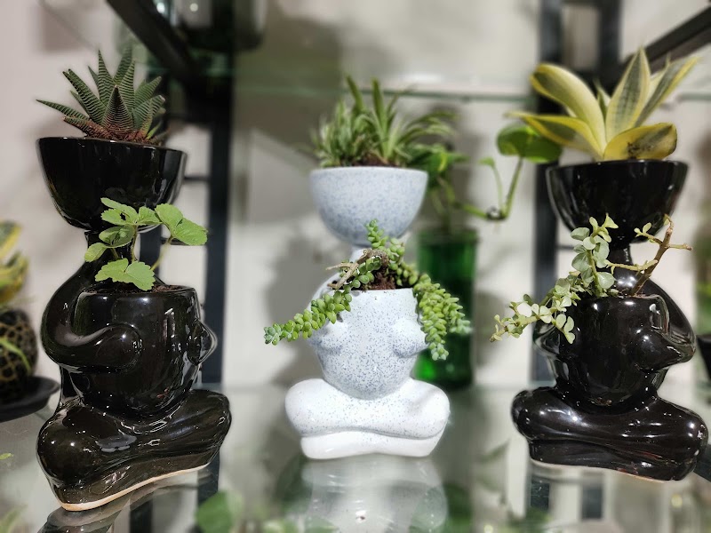 GREEN NEST - GREEN NEST 23, Kailash Park, near Geeta bhawan, Kailash Park Colony, Indore, Madhya Pradesh 452001, India