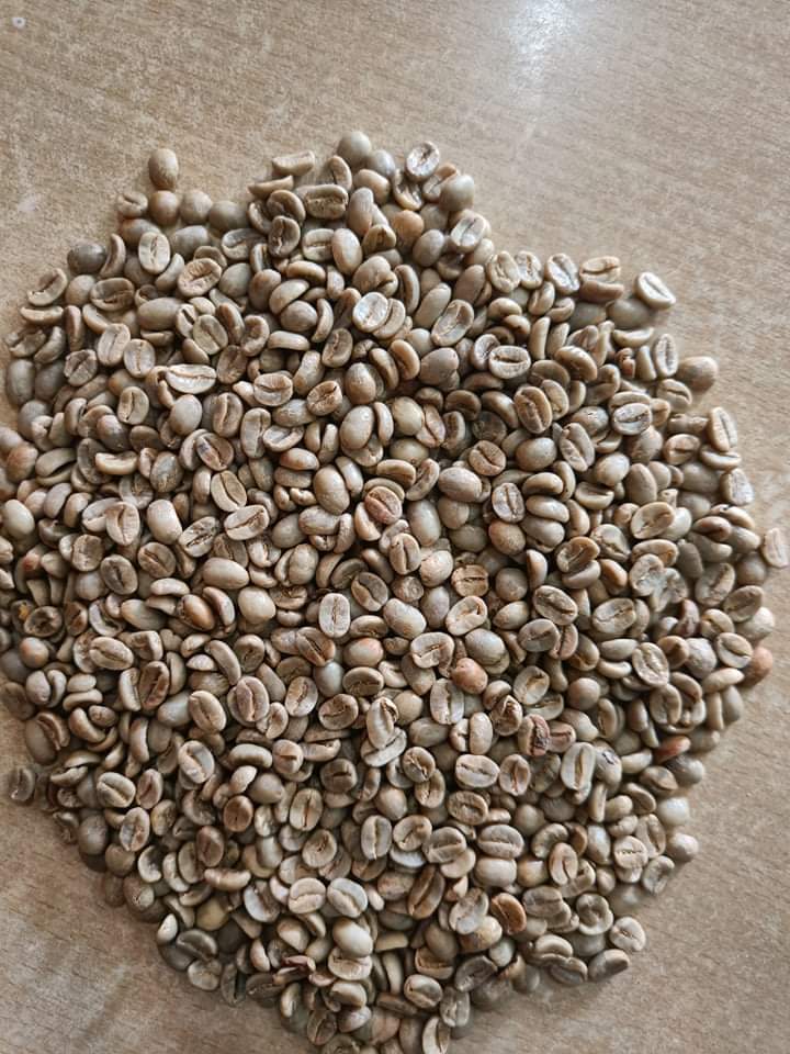 Wayanad Spices Gartens - Wayanad Spices Gartens Kaloor, Kalloor, Kerala 673592, India