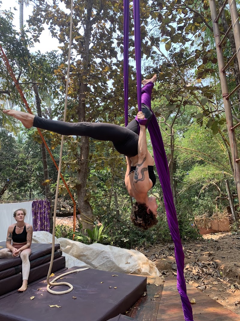 Bliss Circus - Bliss Circus Ourem Rd, inside Traverse Hostel, Mohanbagh, Palolem, Canacona, Goa 403702, India