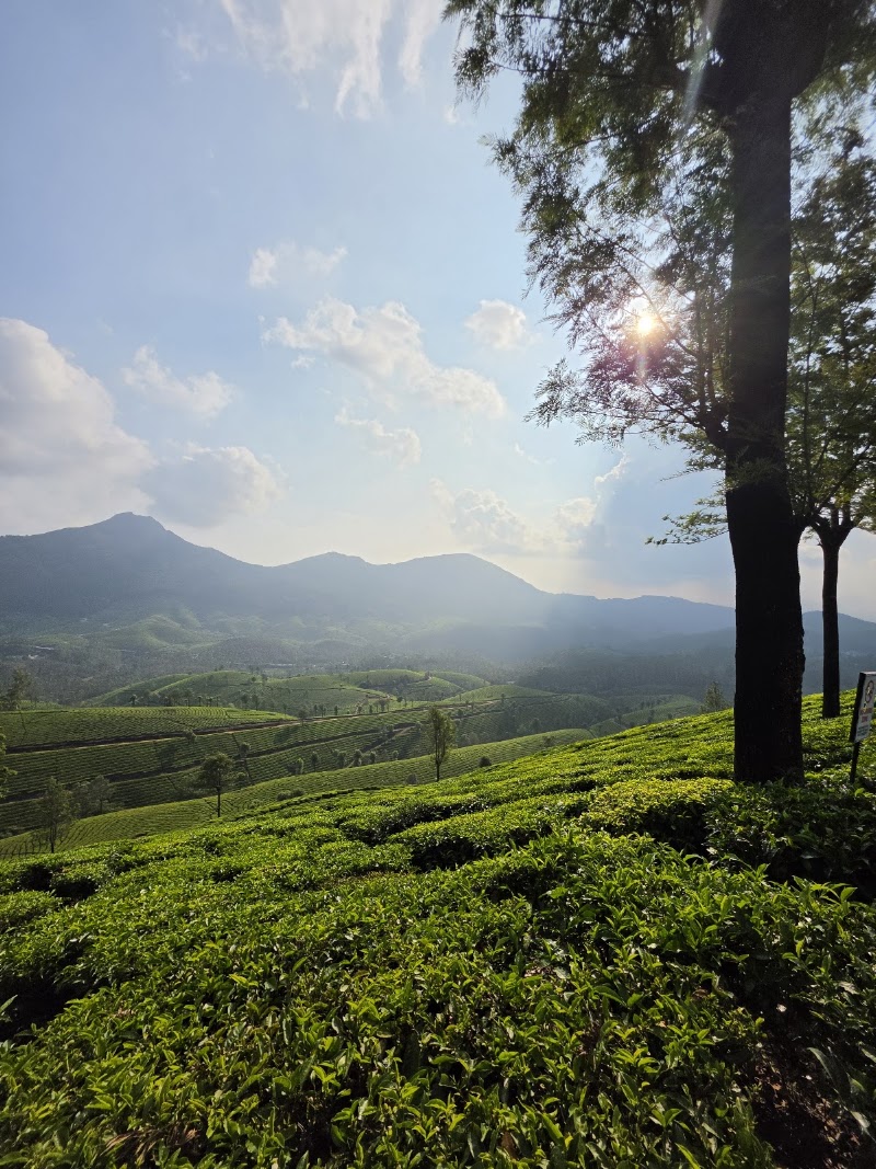 Door of Heaven - Door of Heaven 3469+R9, Kannan Devan Hills, Devikulam, Kerala 685613, India