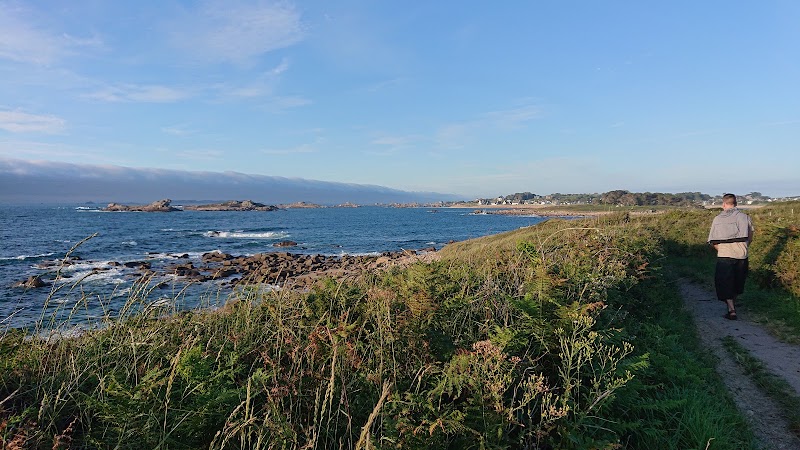 Lande de Bringwiller - Lande de Bringwiller, 51 Rte de Bringuiller, 22560 Trégastel, France