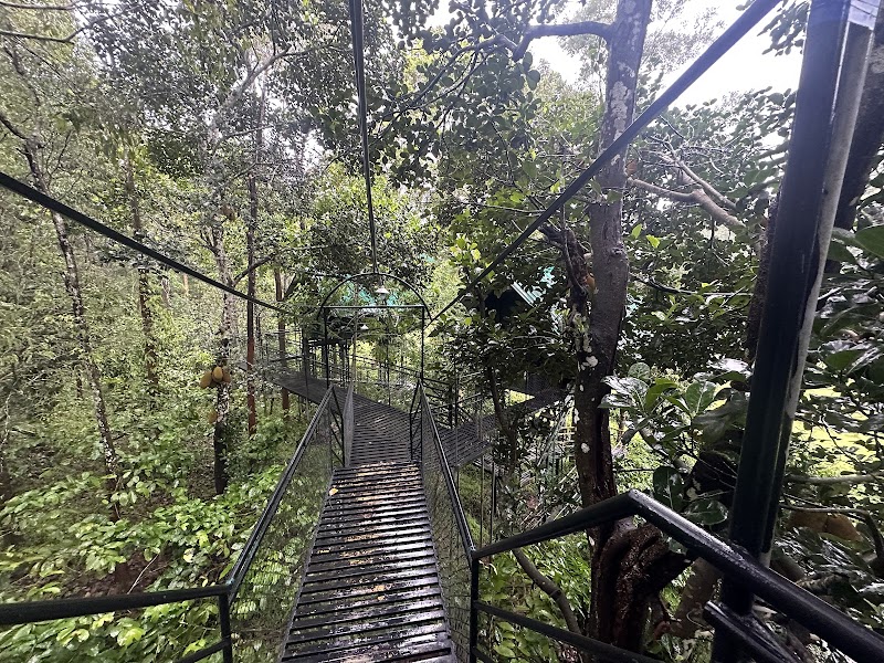 Tree House Wayanad - Tree House Wayanad Tree house Check post Mukkuthikunnu p o, wayanad take left, near noolpuzha, before, Sultan Bathery, Kerala 673595, India