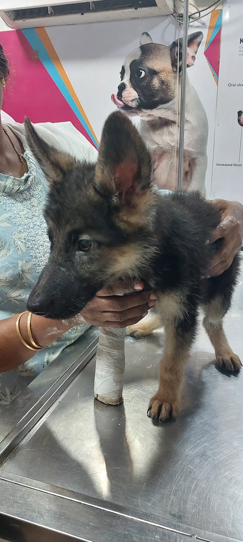 VETCARE PET CLINIC - VETCARE PET CLINIC Vetcare Shop no.110, Chouhan Dream Homes Complex, Nehru Nagar Main Rd, near Hitek Hospital, below SBI bank, Block J, Smriti Nagar, Bhilai, Chhattisgarh 490020, India