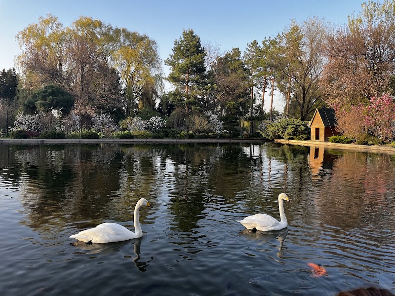 Almaty Botanical Gardens - Almaty Botanical Gardens, Timiryazev St 36Д, Almaty 6050040, Kazakhstan