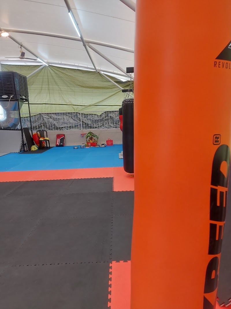 KINSOU Martial Arts Academy | MMA | Muaythai | Kickboxing | Self Defence | Fitness Martial Arts | Brazilian Jiu-Jitsu | - KINSOU Martial Arts Academy | MMA | Muaythai | Kickboxing | Self Defence | Fitness Martial Arts | Brazilian Jiu-Jitsu | Near Malhar Misal, Jagtap Dairy Chowk, Aundh, Ravet road, Sunshine Villas, Mana-mandir Society, Pimple Saudagar, Pune, Pimpri-Chinchwad, Maharashtra 411017, India