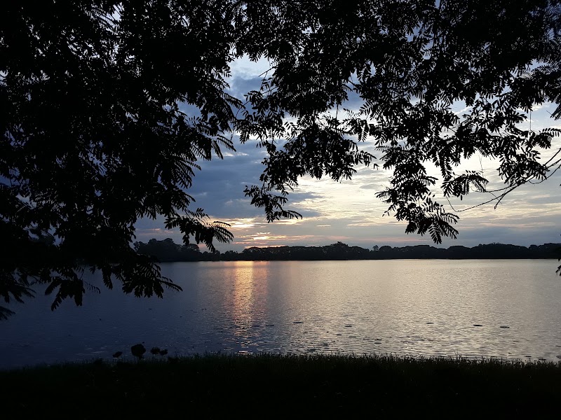Joy Sagar Lake - Joy Sagar Lake, Tank, Joysagar, Dicial Dhulia Gaon, Assam 785665, India