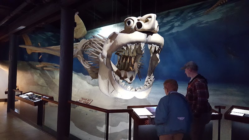 Calvert Marine Museum - Calvert Marine Museum 14200 Solomons Island Rd S, Solomons, MD 20688, USA