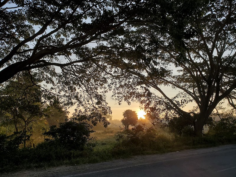 Mullayanagiri - Mullayanagiri, Karnataka 577131, India