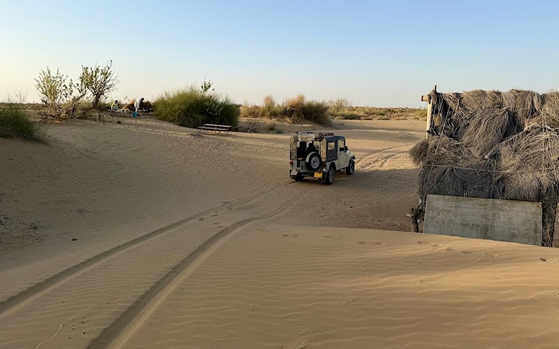 Real Desert Man Camel Safari Jaisalmer - Real Desert Man Camel Safari Jaisalmer, near Seema gram, behind nagar parishad, Dhibba Para, Manak Chowk, Amar Sagar Pol, Jaisalmer, Rajasthan 345001, India