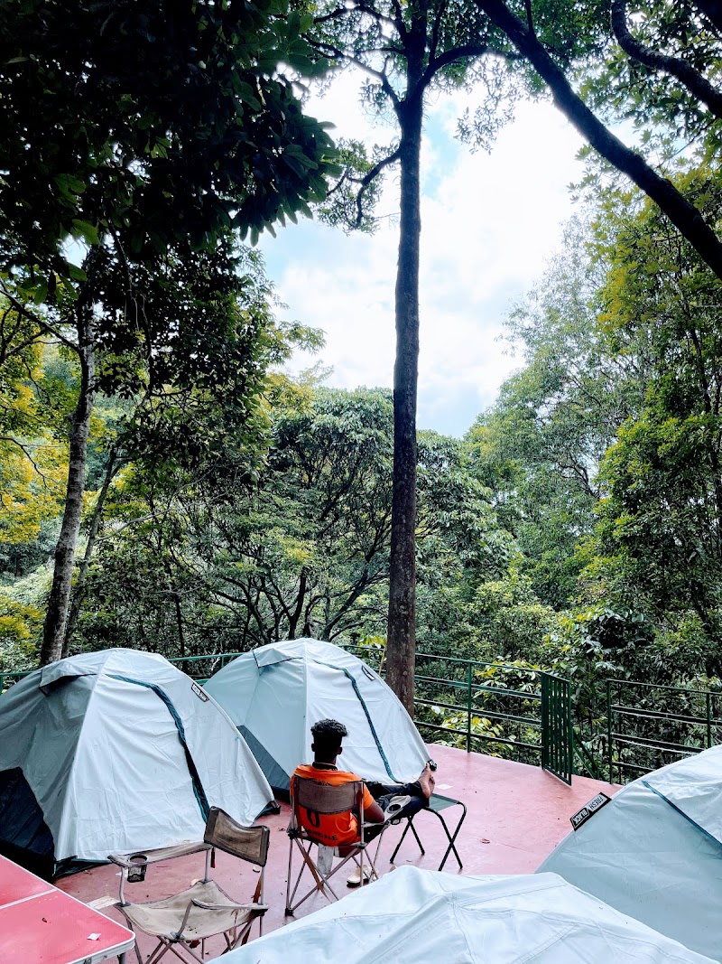 Utopia Wayanad - Utopia Wayanad, NO:8, Vellarimala ,Vellarimala ( PO Chooralmala, Meppadi, Vellarimala, Keralam 673577, India