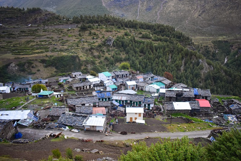 Dugtu - Dugtu, Uttarakhand 262545, India