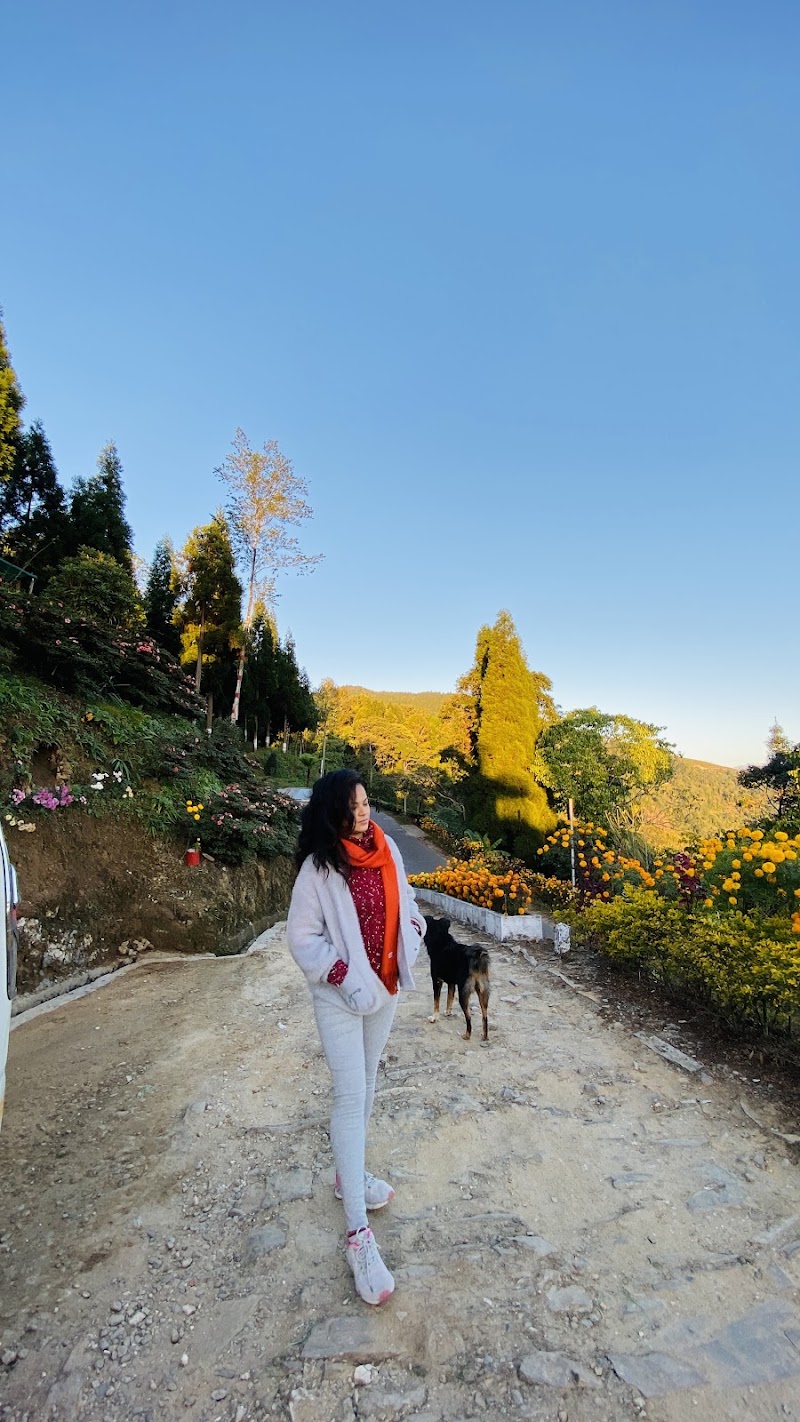 Blone homestay - Blone homestay Soreng Khasmahal Bardara near Primary school Ward no.04, P.O Bardara, P.S, Rangli Ranglot Tea Garden, Soriang Khasmahal, West Bengal 734312, India